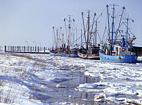 Schiffe im Schnee, Landkreis Cuxhaven